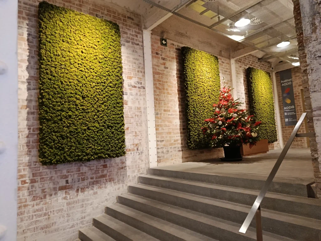 Musgo preservado proyecto nuñez y navarro barcelona