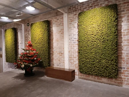 Img 20251216 115029 Musgo preservado proyecto nuñez y navarro barcelona