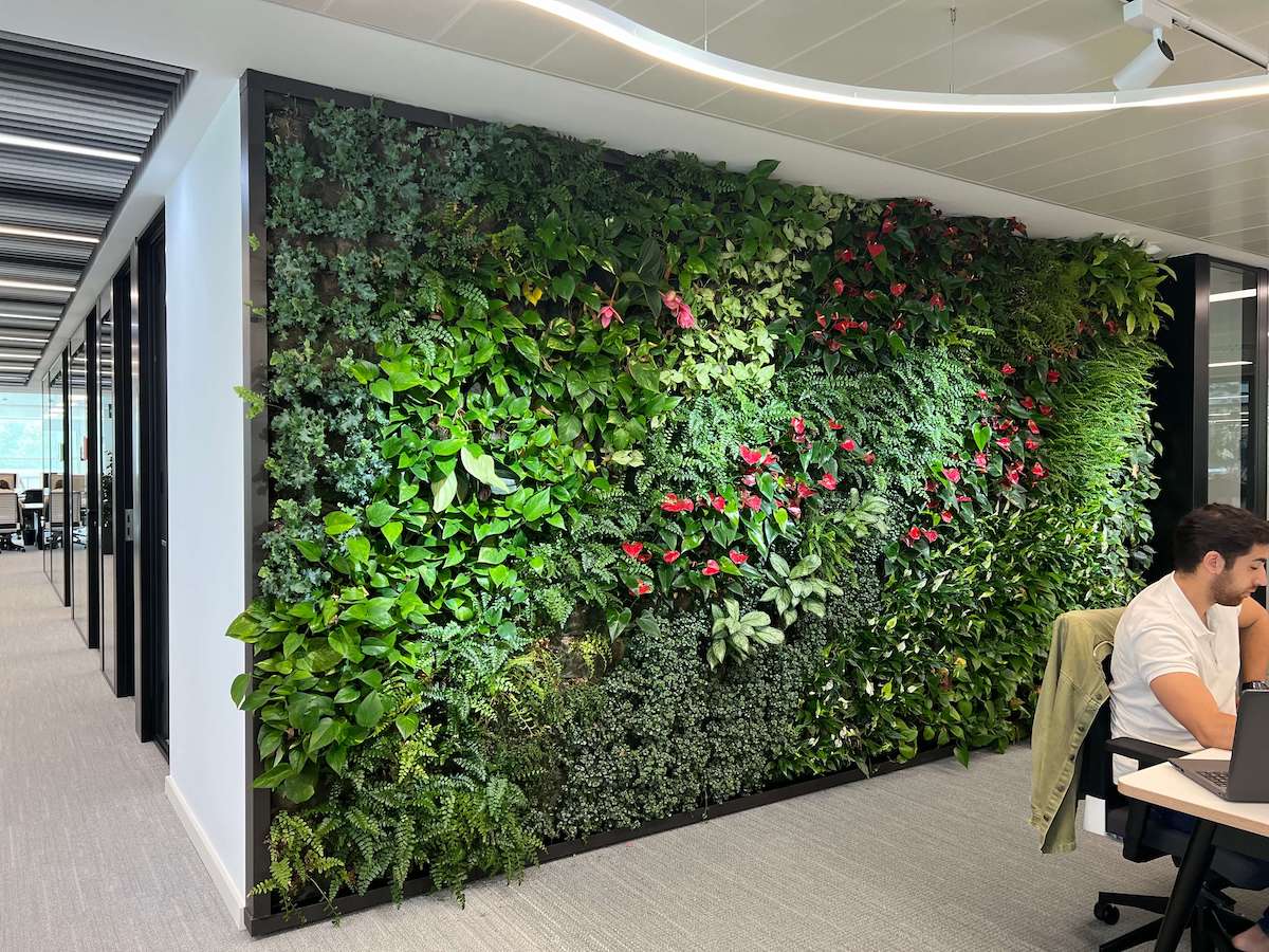 Crea tu propio jardín vertical interior