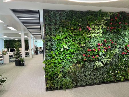 Img 1735 Jardín vertical interior: transforma tu espacio