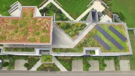 Video thumbnail for youtube video atgvnher5oq Cubierta verde extensiva e intensiva - zinco