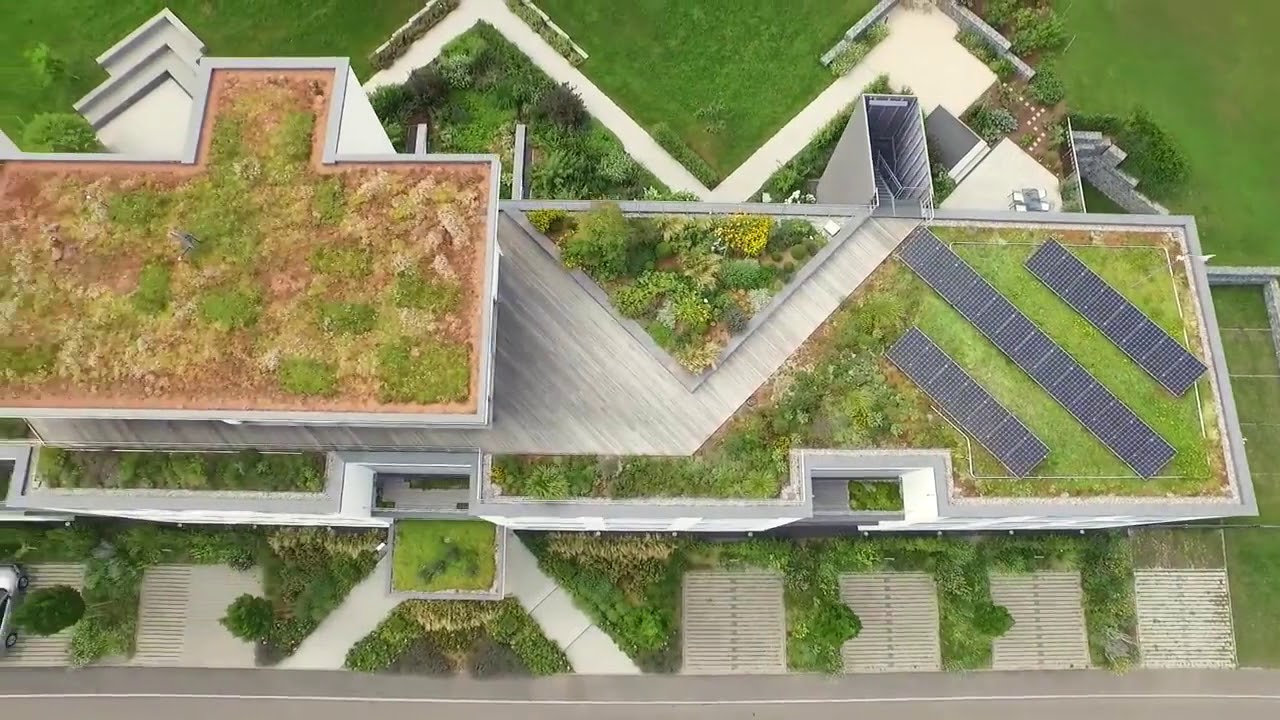 Cubierta verde extensiva e intensiva - zinco