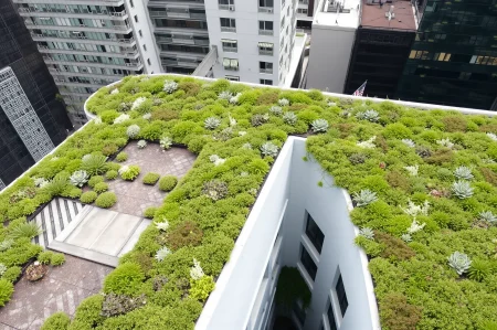 cubierta verde en edificio