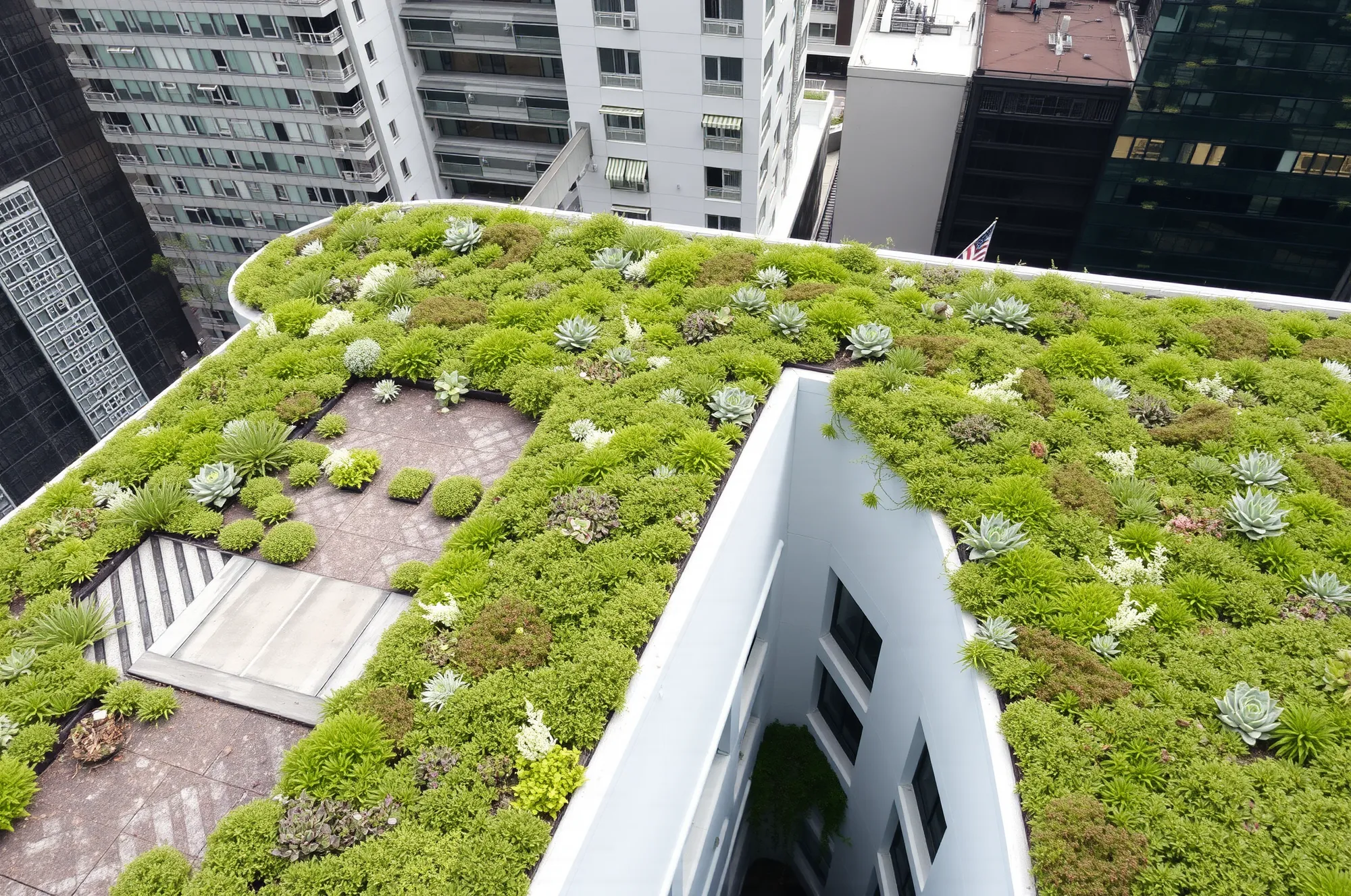 cubierta verde en edificio