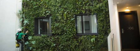 Mantenimiento Jardin Vertical