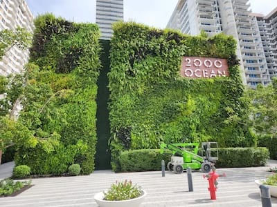 servicios de jardineria verticall