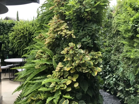 Jardin vertical exterior 1001 Jardin vertical patio interior barcelona