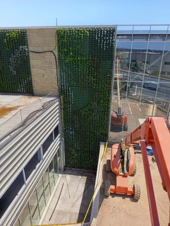 Jardin vertical nave industrial 20 Borrador automático