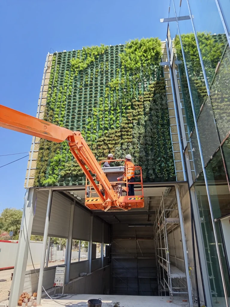 Borrador automático