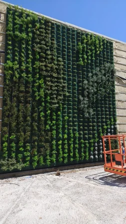 Jardin vertical nave industrial 7 Borrador automático