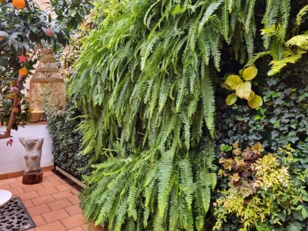 Jardin vertical patio interior 3 Jardin vertical patio interior barcelona
