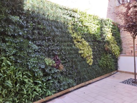 8DB9CF2B-ADAA-4FEB-B58A-A8CE585B01ED Patio interior casa particular