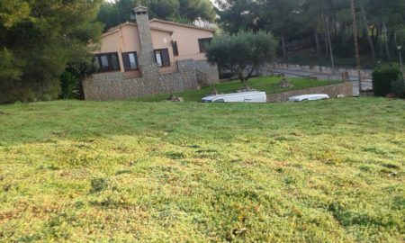 Techo verde en vivienda unifamiliar