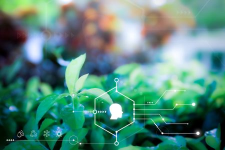 Control inteligente en mantenimiento de jardines
