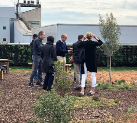 consultoria_cubiertas_vegetales Consultoria cubiertas vegetales