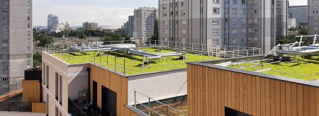 Cubierta 1 1 Cubierta extensiva y cubierta intensiva: guía práctica y comparativa