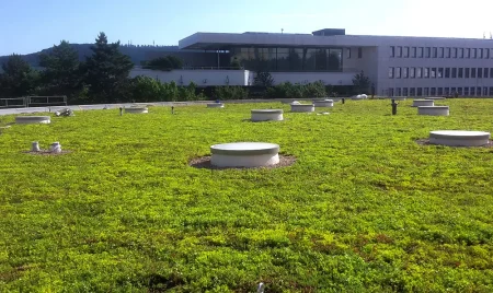 trabajo de cubierta vegetal de verdtical Cubiertas vegetales