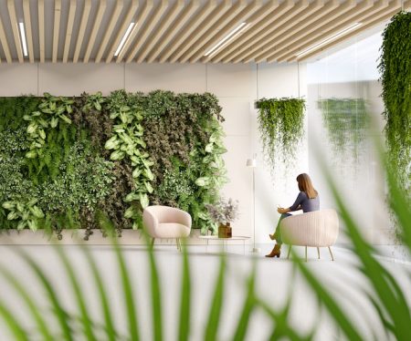 Green office Jardines verticales: diseño e instalación profesional