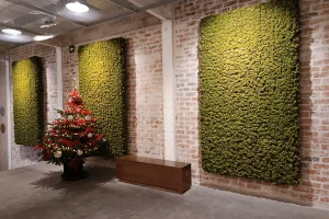 Musgo preservado proyecto nuñez y navarro barcelona