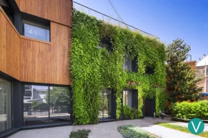 Muros vegetales: cómo elegir el mejor muro verde