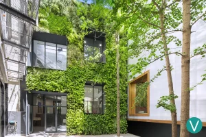 Muros vegetales: cómo elegir el mejor muro verde