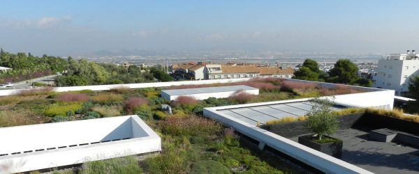 Cubierta verde extensiva e intensiva - zinco