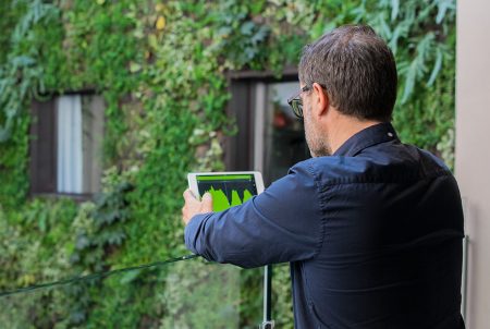 ipanel Jardines verticales: diseño e instalación profesional