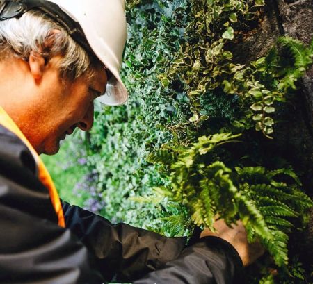 trabajador de verdtical en labores de mantenimiento de jardines verticales