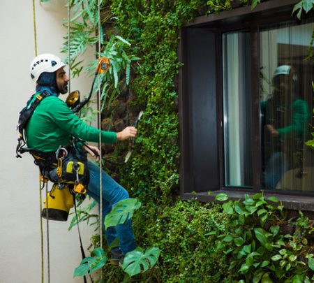 mantenimiento jardín vertical